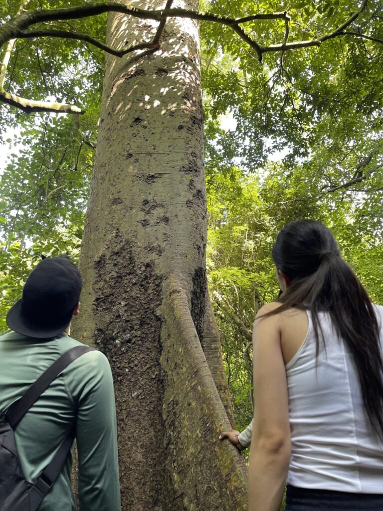Cerro Blanco Protected Forest: Nature Escape Just Minutes from Guayaquil Cerro Blanco Ecuador