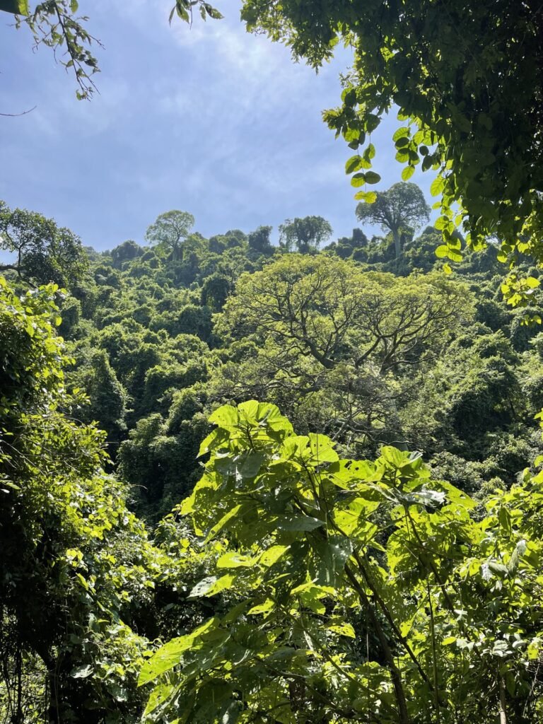 cerro blanco 3